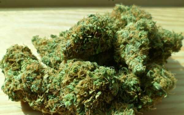 Buy Bubba Kush Online