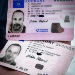 EU driver’s license online