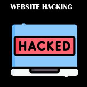 Website Hacking